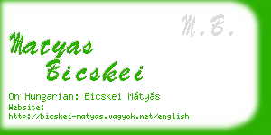 matyas bicskei business card